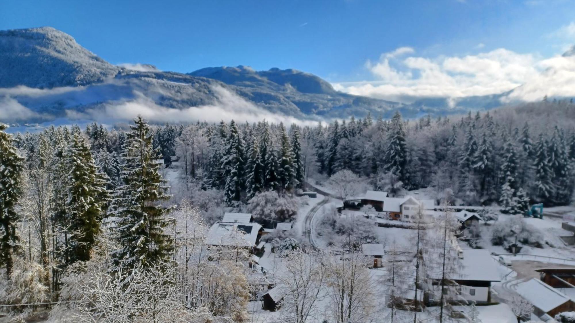 Dachstein View Apartment Bad Goisern