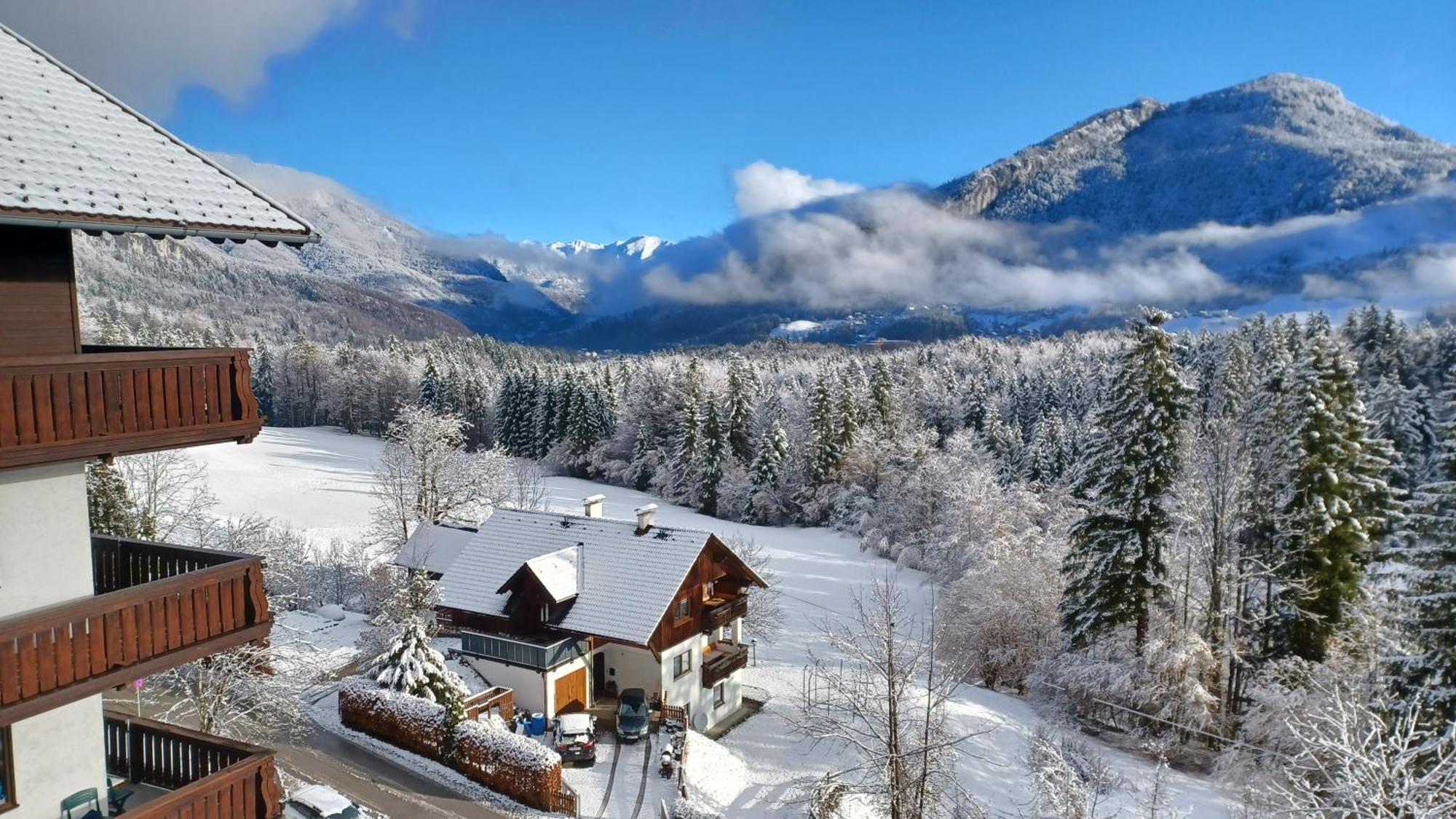 Apartment Dachstein View
