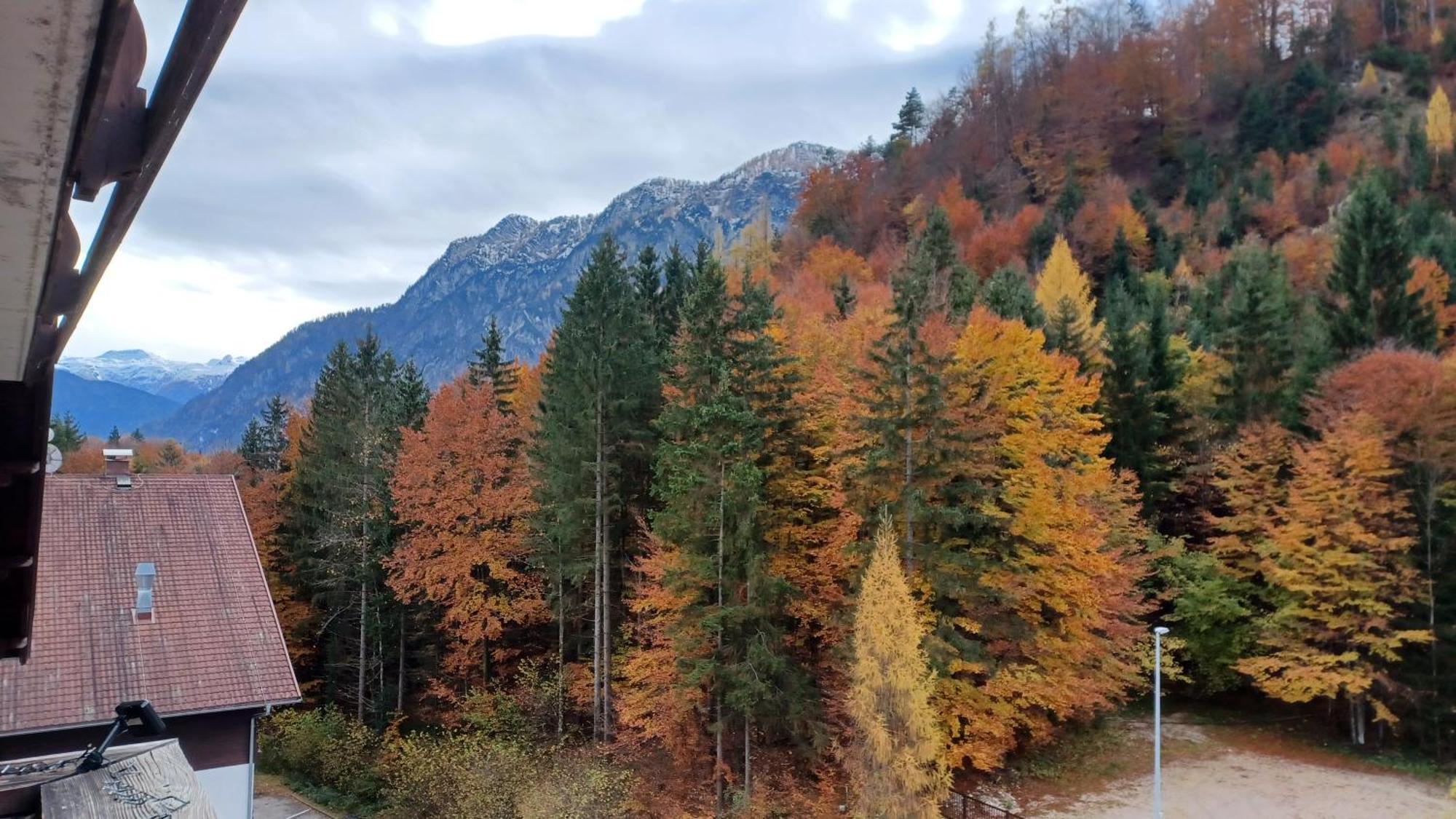 Dachstein View Bad Goisern