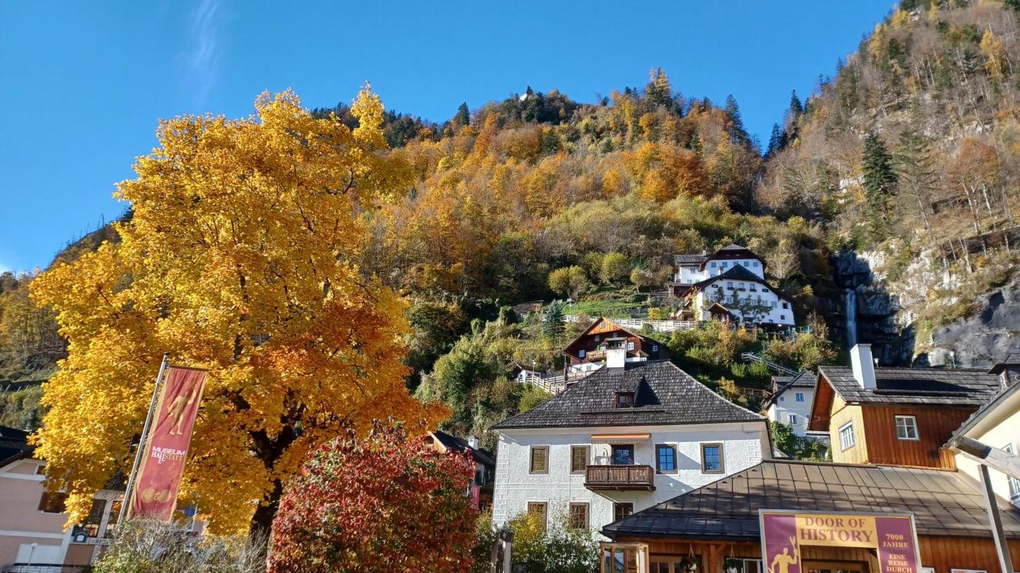 Dachstein View * Bad Goisern