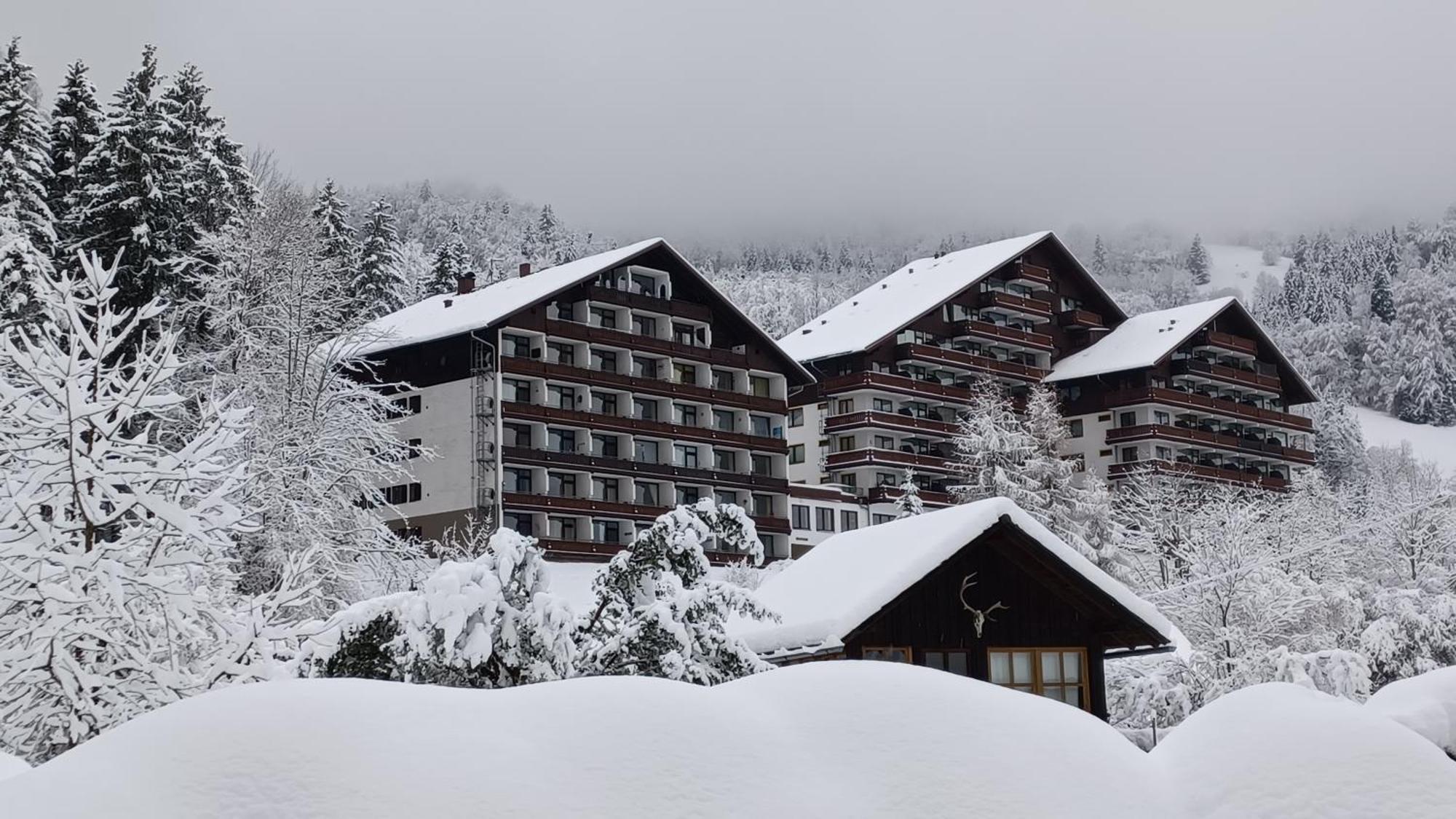 Dachstein View * Bad Goisern