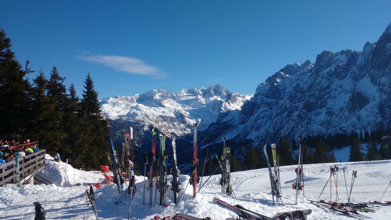 Dachstein View Apartment