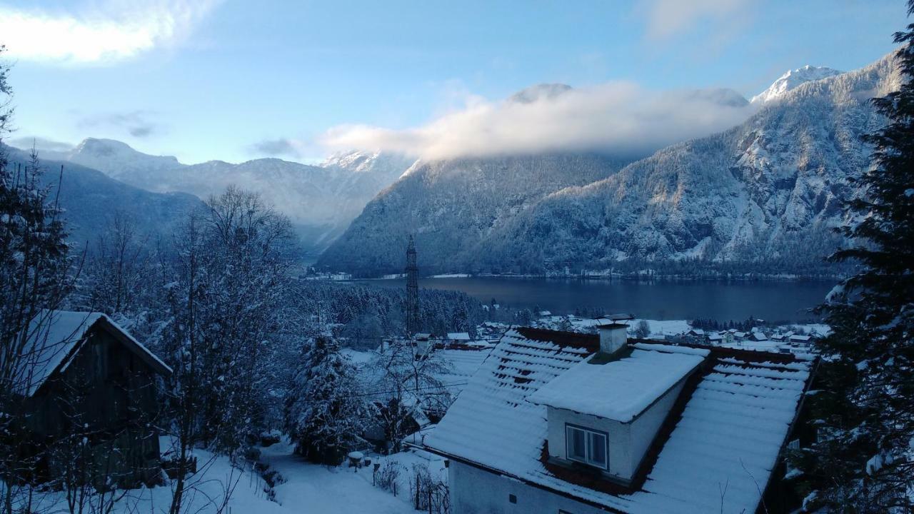 Dachstein View Apartment